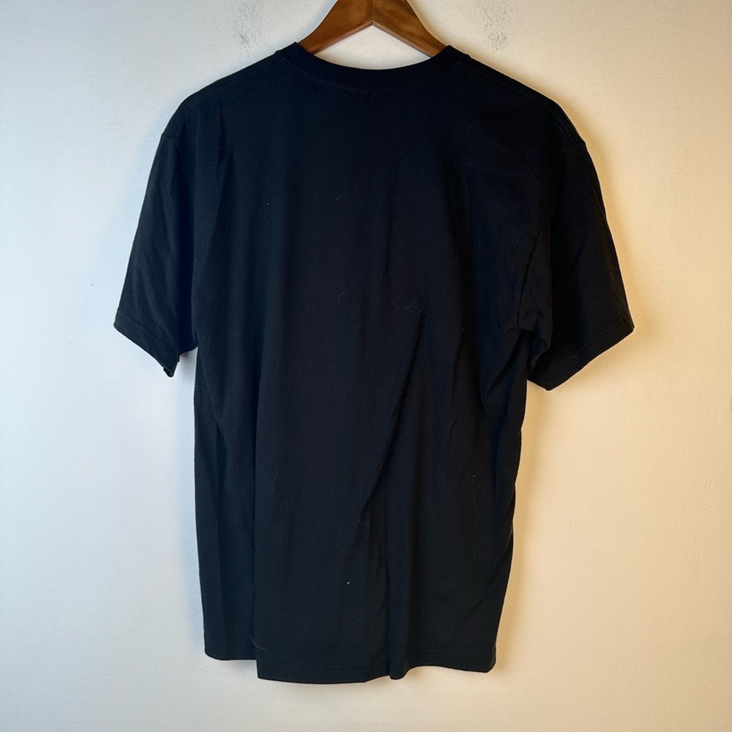 Vintage Hanes Tee Shirt