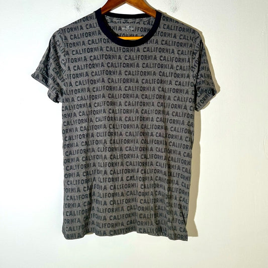 Hollister California Tee Shirt