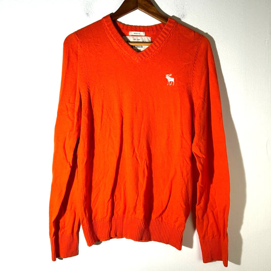 Abercrombie & Fitch Muscle V Neck Sweater