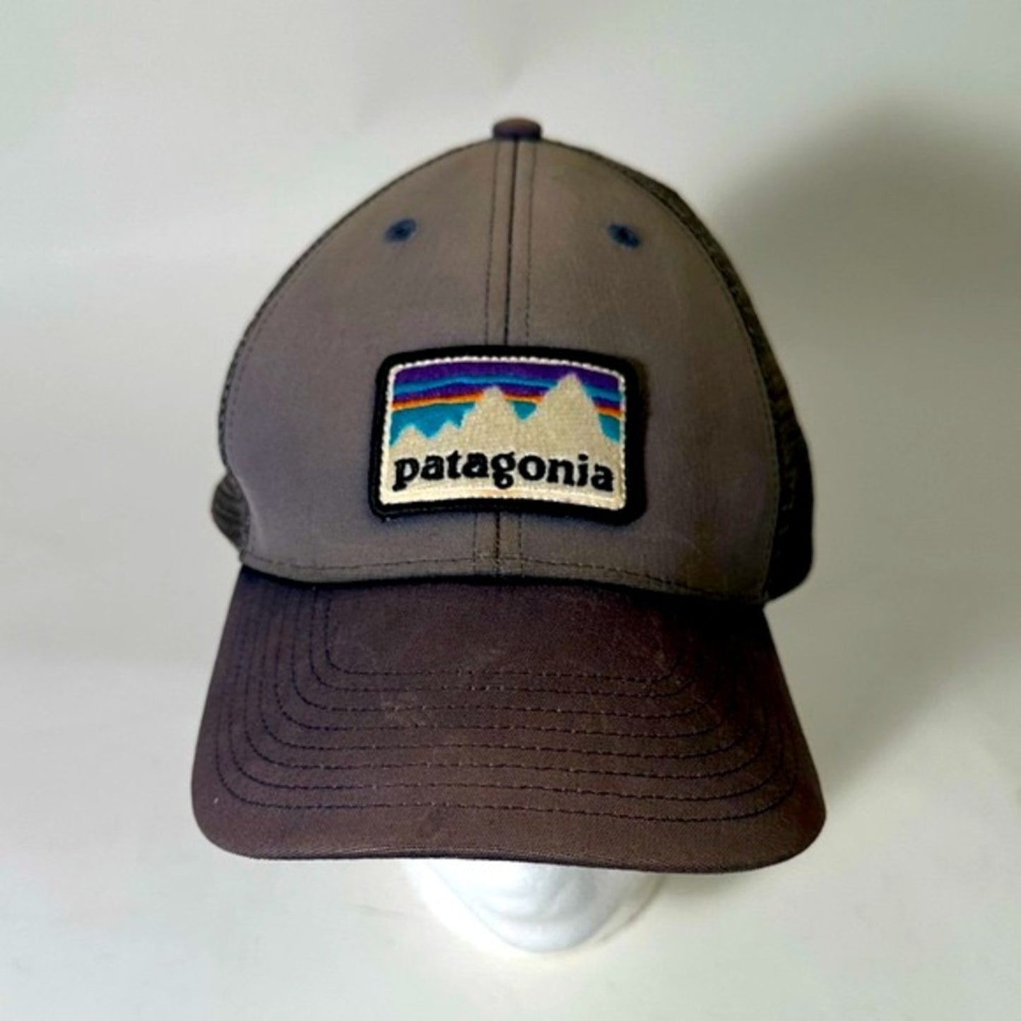 Patagonia SnapBack Hat