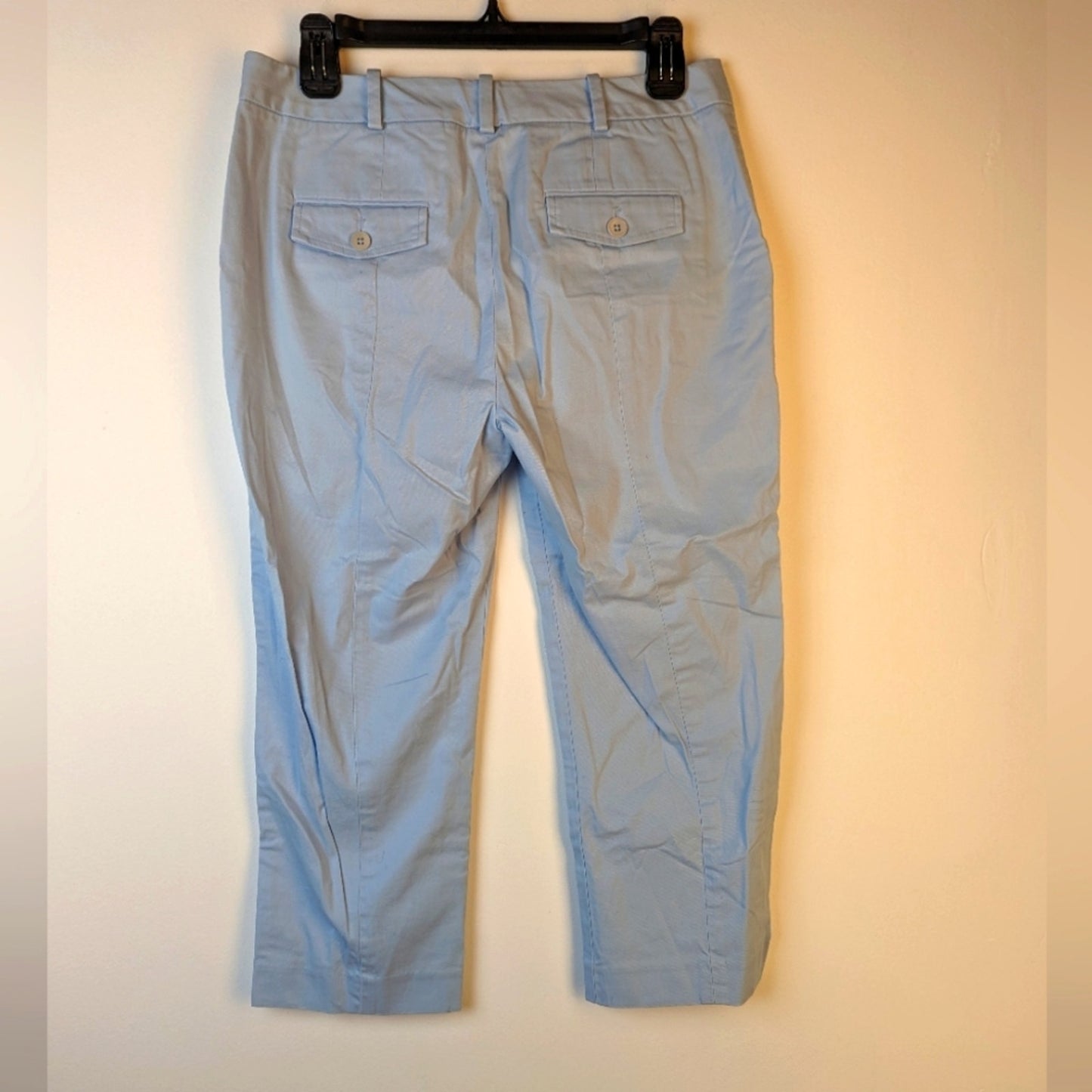 Talbots Baby Blue Pants - 4