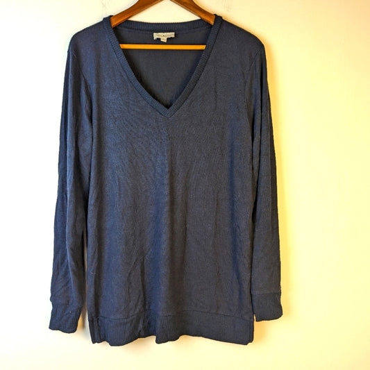 Lucky Brand Blue V Neck Sweater