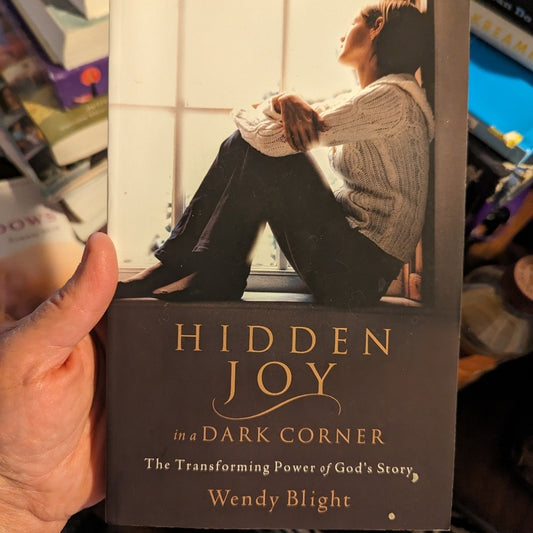 Hidden Joy in a Dark Corner by Wendy Blight