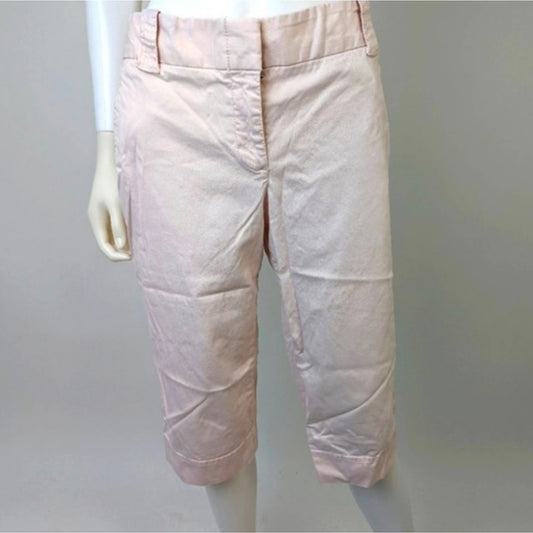 J.Crew Pale Pink Chinos / 10