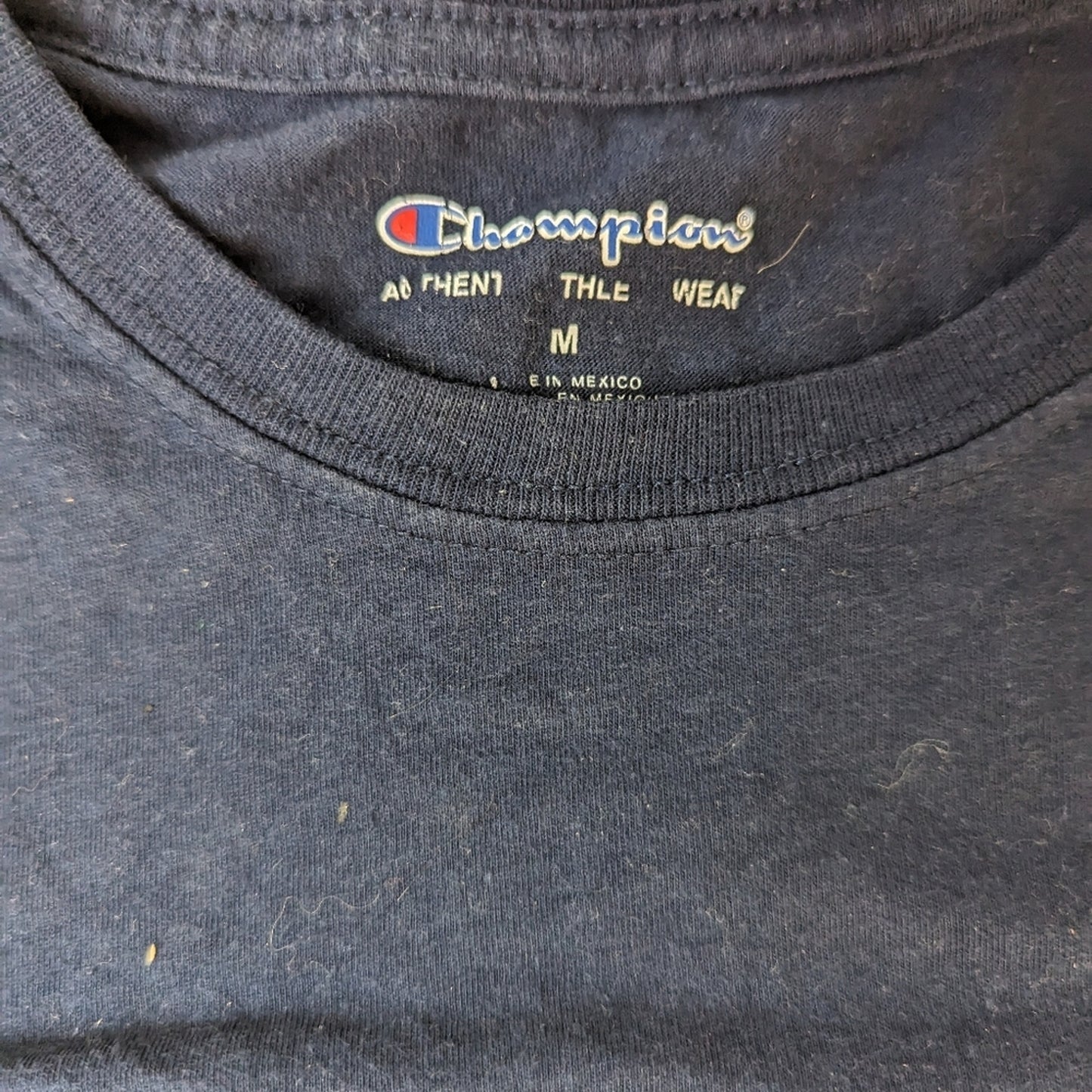 Champion Tee Shirt / Medium