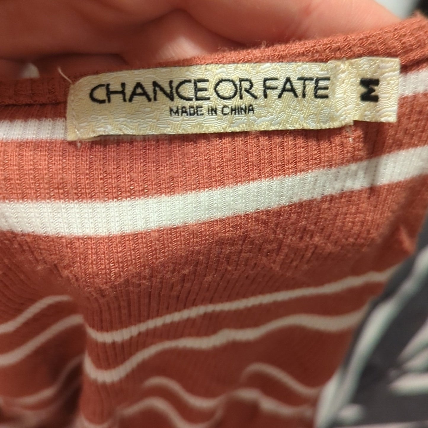 Chance or Fate Striped Cropped Tee Shirt M