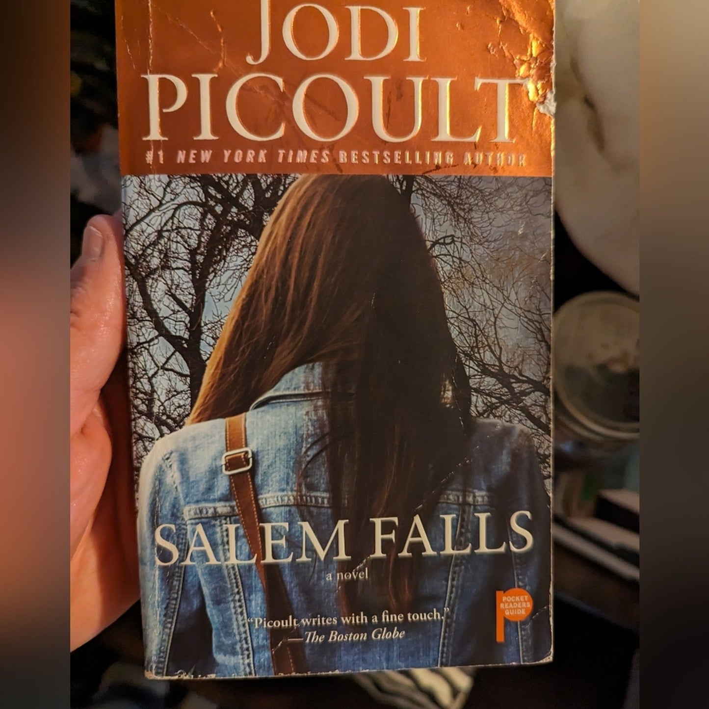 Salem Falls by Jodi Picoult