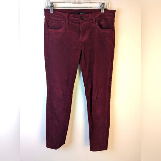 Edyson Skinny Burgundy Courdory Pants / 27 P