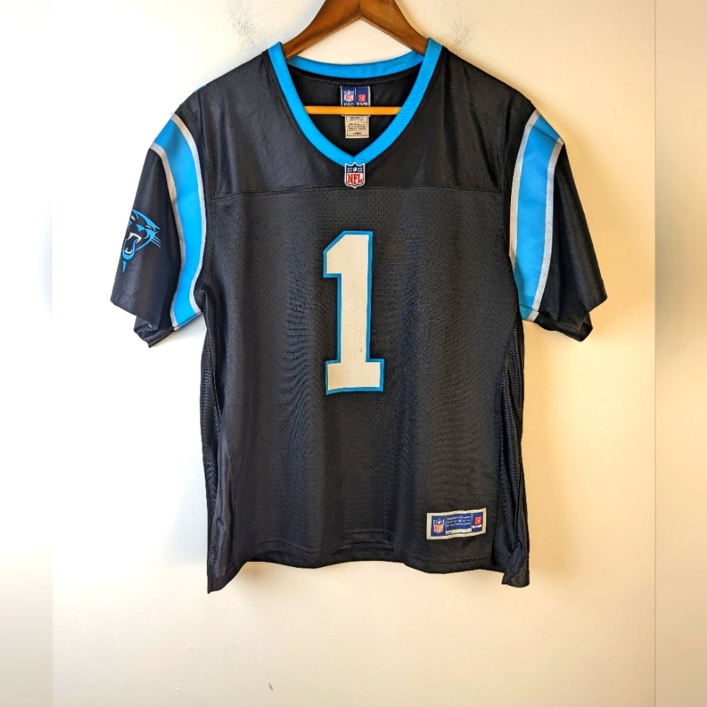 Charlotte Panthers Jersey / Large