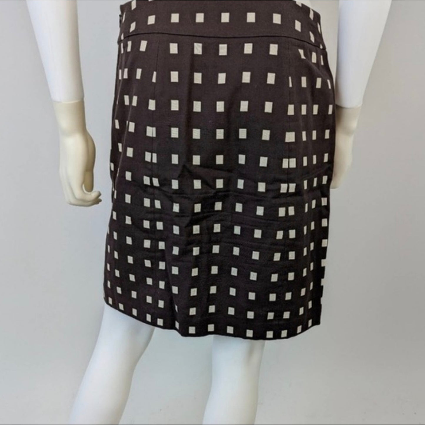 Ann Taylor Pencil Skirt / 2P