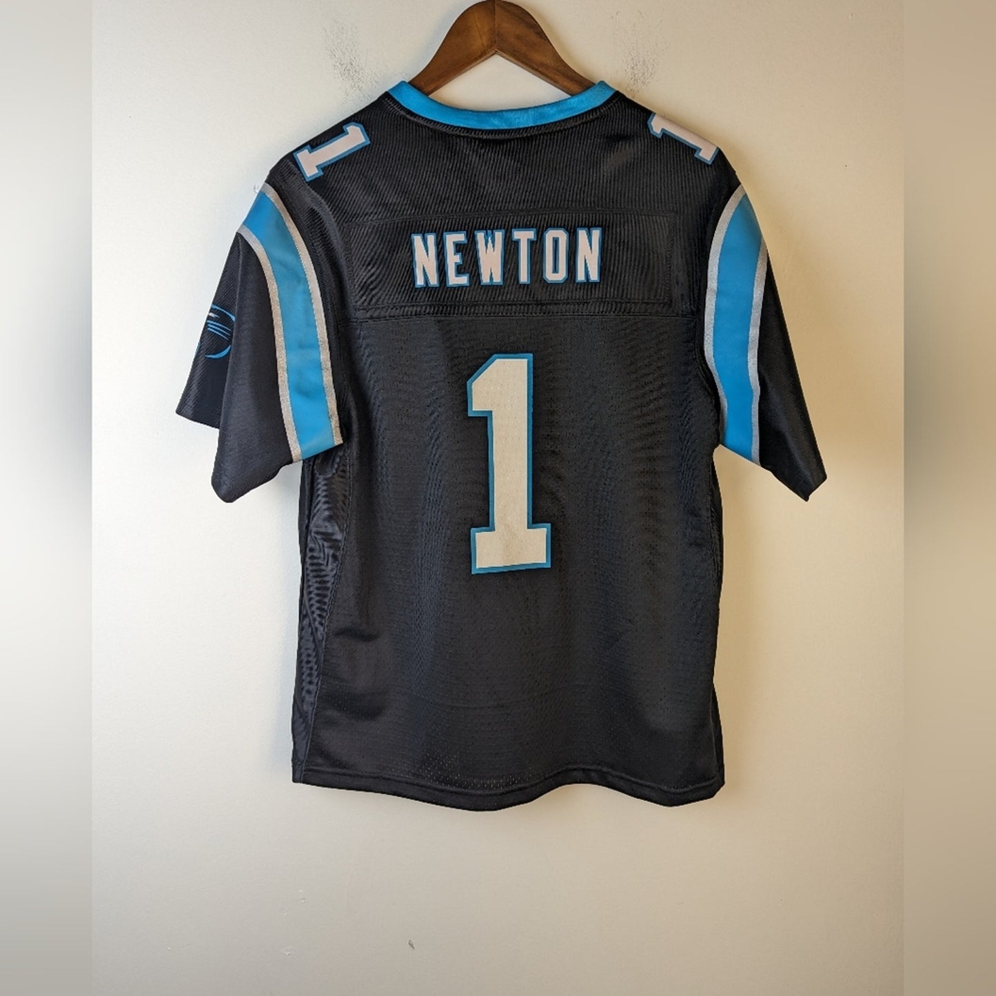 Charlotte Panthers Jersey / Large