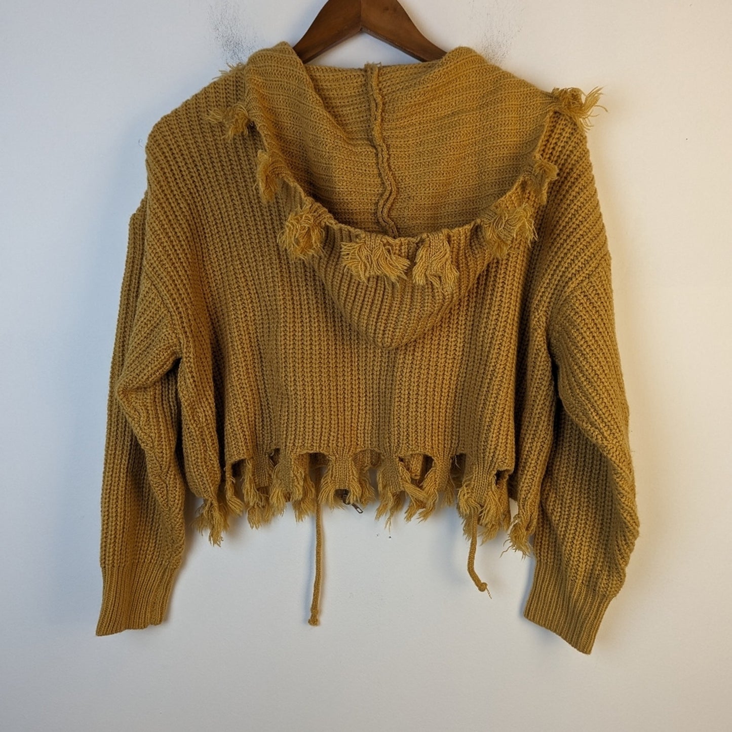 Zaful Fringed Hooded Full Zip Sweater / 8