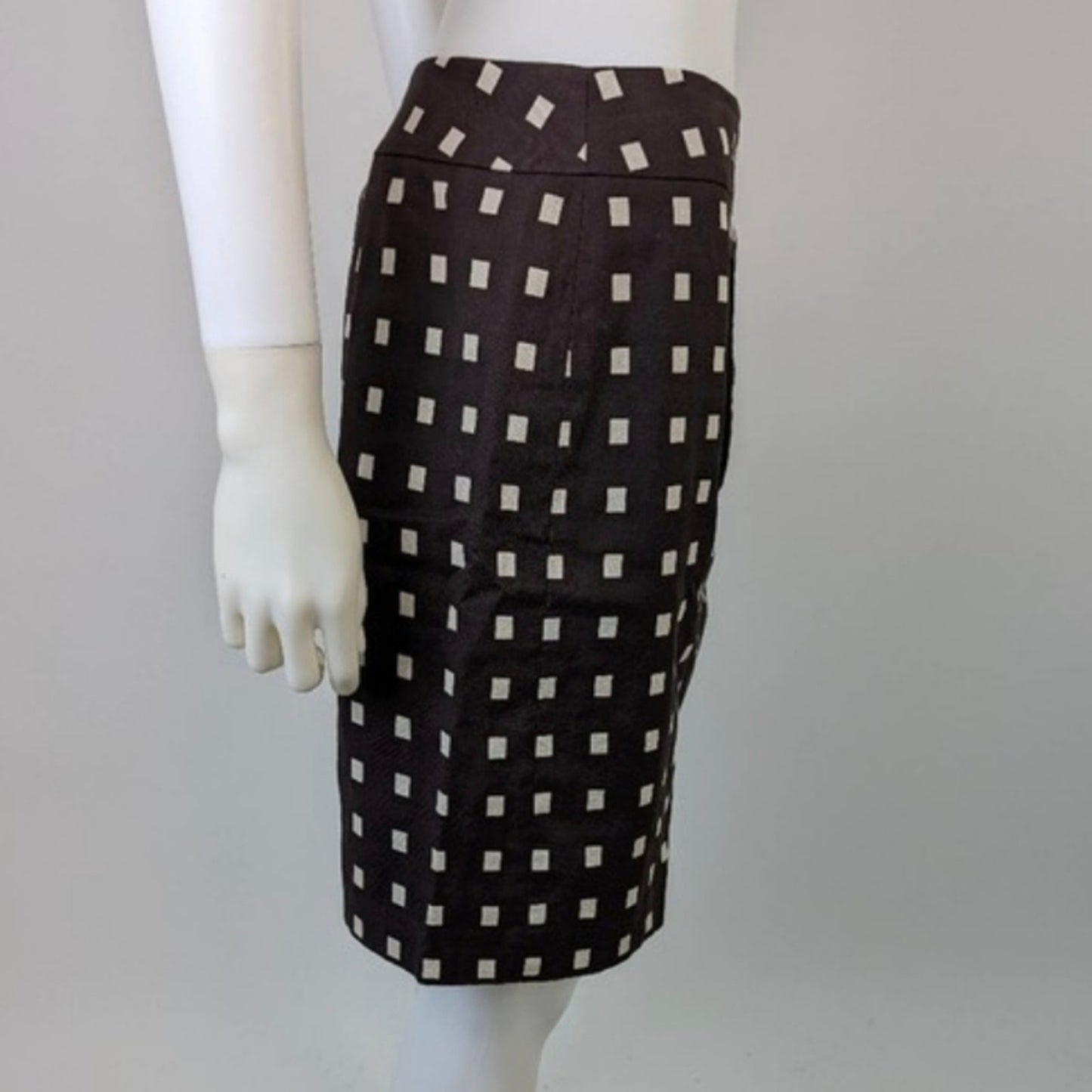 Ann Taylor Pencil Skirt / 2P